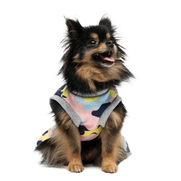 Juicy Couture Cheer Pet Dress